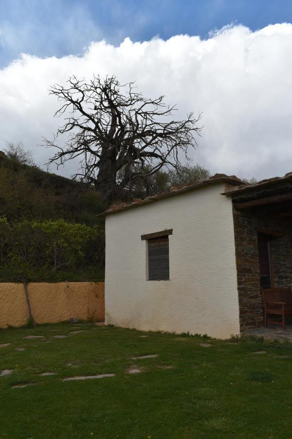 Cortijo Jimenez - Casa Rural Pitres Bagian luar foto